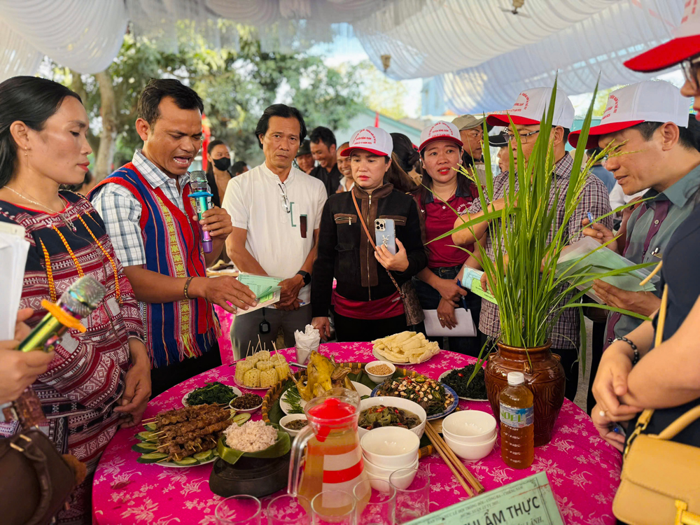 Đầu xuân, vui hội cồng chiêng